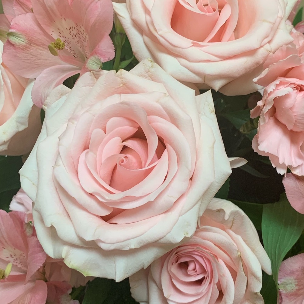 Meet your Posher, Karen